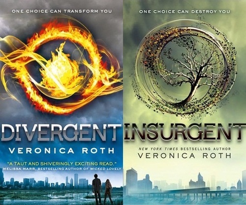 All about @VeronicaRoth's Trilogy, Divergent, from Indonesia. Tes Kecakapan/Appitude Test? Click the link!