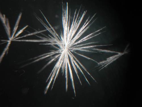 A 2-year full time course studying the science of Gemmology, based at the School of Jewellery in Birmingham.