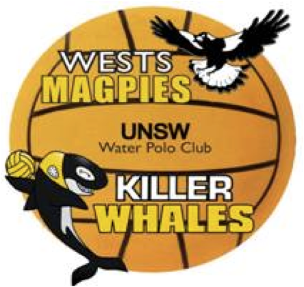 UNSWWaterpolo's profile picture. Home to your Men's UNSW Wests Magpies & Women's Killer Whales Water Polo teams.