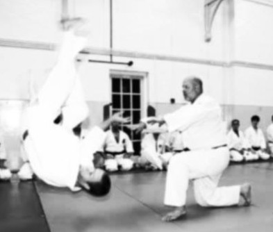 aikido_med's profile picture. I spend 90% of my time upside down. I'm living the dream!
