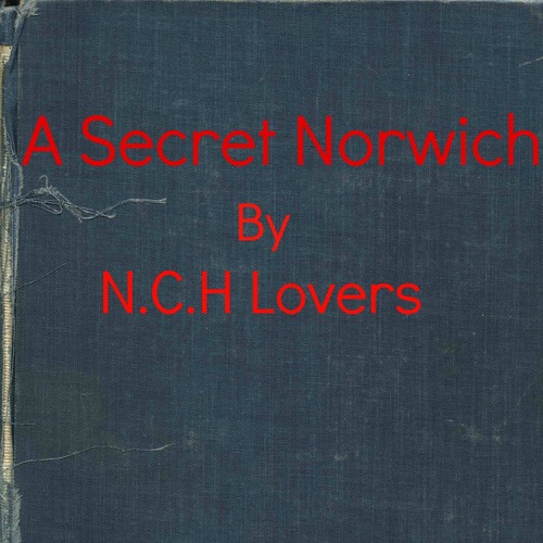 A page to share and ask what's happening and where to go in Norwich to eat, play and rest. Together we'll make Norwich an even finer city. Spread the Nch love..
