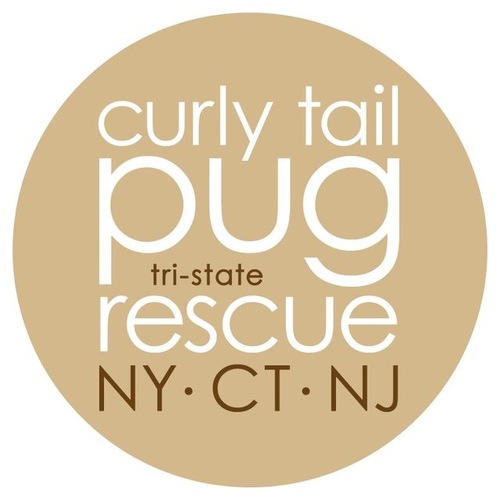 Pug Rescue Group
ny•nj•ct