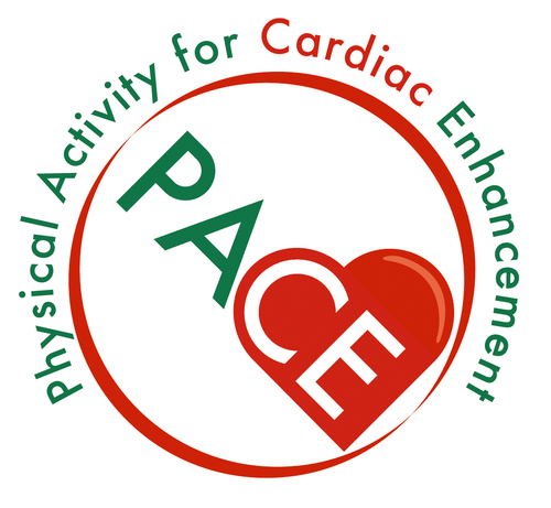 Physical Activity for Cardiac Enhancement, community based programme for people suffering from diabetes and any cardiac issues