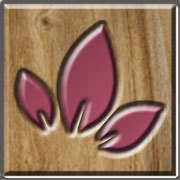 As Lojas Cachepô chegam ao mercado apresentando uma nova tendência, as flores e plantas definitivas para presentes e ornamentação da sua casa.