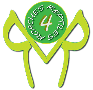 DrRoach13's profile picture. Feeder Breeder Of Blaptica Dubia Roaches!