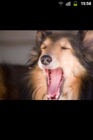 I like eating sniffing buts and eating crap. I follow back