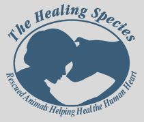 The Healing Species is an 11-week violence intervention / character and compassion education outreach to children in schools and juvenile detention facilities.