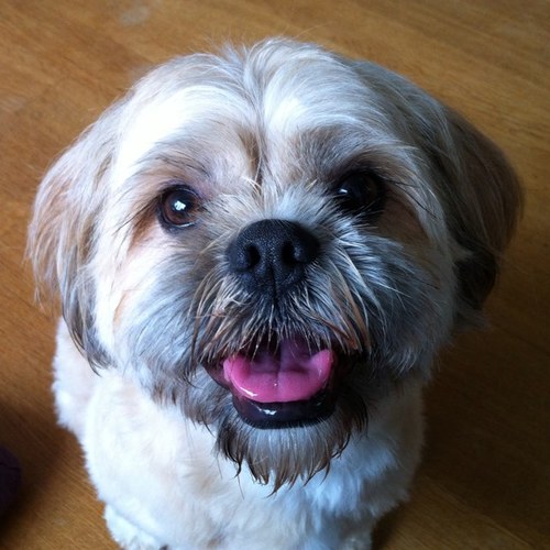 willekekl's profile picture. 