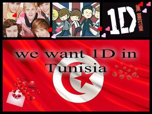 #official #TunisianDirectioner account :) follow me please to make our dream come true