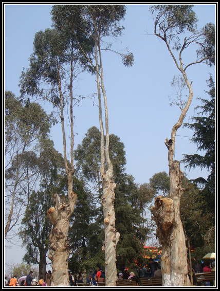 iannecn's profile picture. 