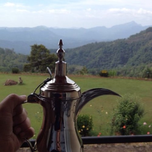 511_soos's profile picture. 