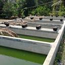 de'jo Fish Farm - @DejoFish - Twitter