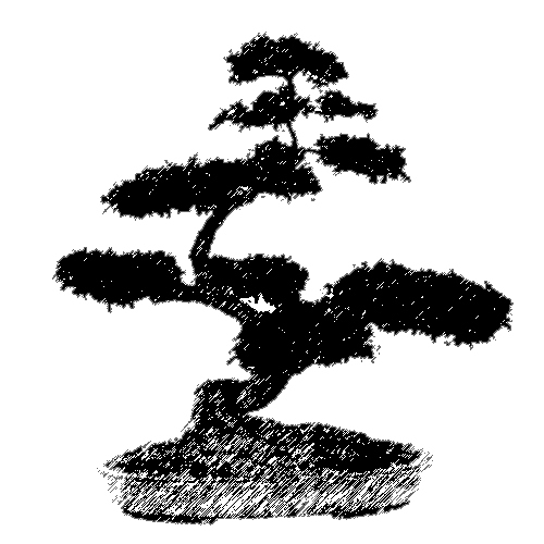 Todo sobre el mundo del bonsái desde Barcelona: especies, estilos, herramientas, cuidados, enlaces...