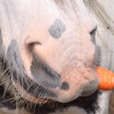 janette chapman - @janette680 - Twitter