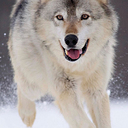 john laureano - @johnlaureano1 - Twitter