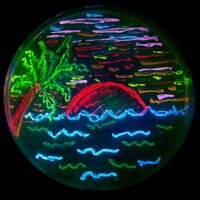 Nathan Shaner 🏳️🌈 (@nathanshaner) 's Twitter Profile
