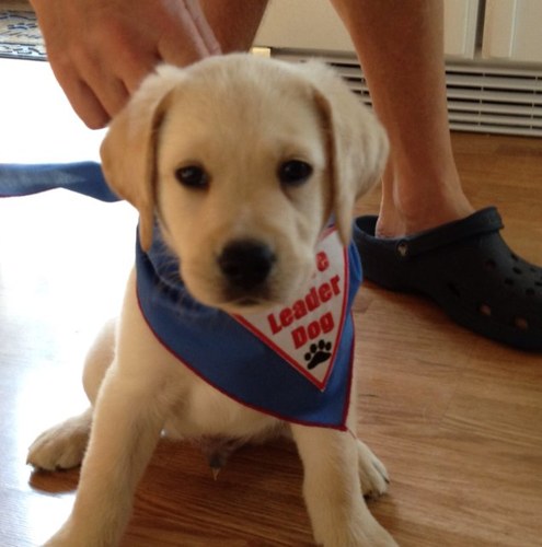 CheriJohnson's profile picture. 