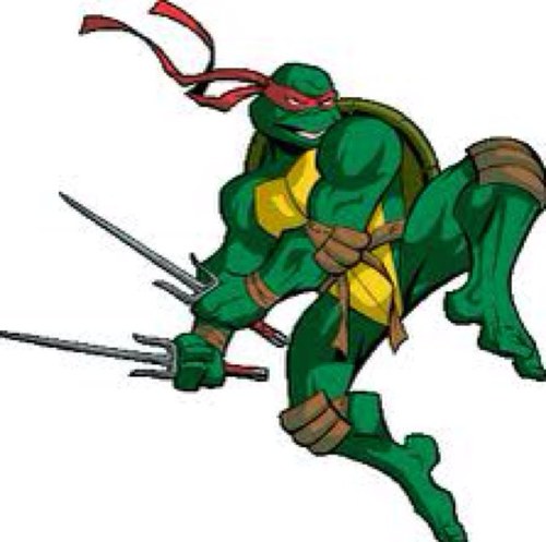 RaphaelSaiTMNT's profile picture. Sport bitching and sarcasm.