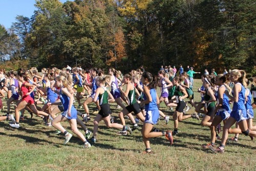 runnerproblems4's profile picture. 