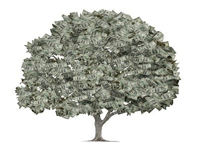 LocalClaim is the all in one destination for affordable web design, SEO, and social media management. All products under $100. Find your money tree.