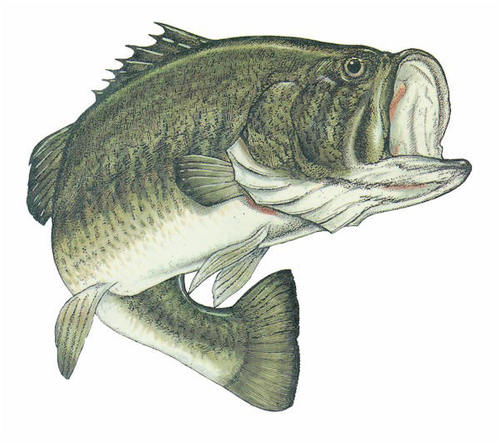 Gone fishing information to share is the goal.