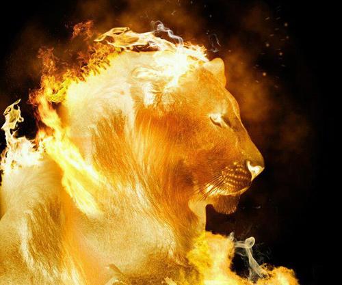 LEVANTA-TE, RESPLANDECE, PORQUE JÁ VEM A TUA LUZ, E A GLÓRIA DO SENHOR VAI NASCENDO SOBRE TI.
ISAÍAS 60:1