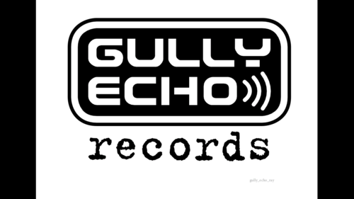 Gullyecho's profile picture. producer,studio owner,engeneer,psycologe,bandleader and carpenter