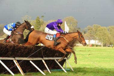 National Hunt follower. Breeder. Owner. I like buying & selling young NH Stores.