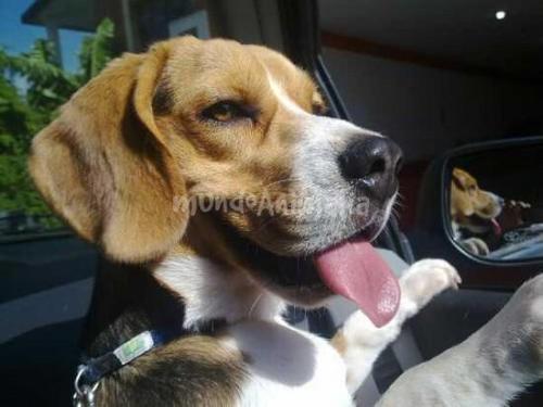 YEMINI1's profile picture. 