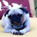 Jack Cothren - @cothrenIV - Twitter