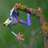 beamfrog's profile image