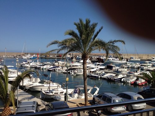 zocker1104's profile picture. 