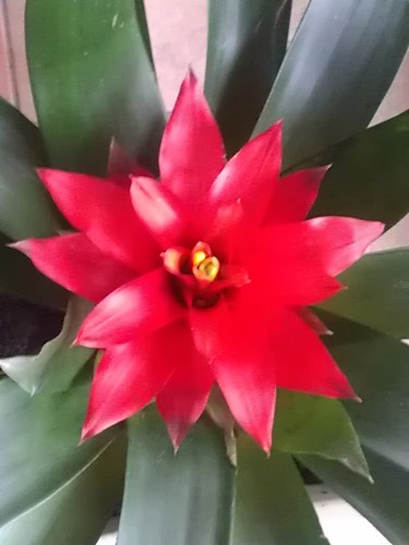 Newsjunky10's profile picture. 