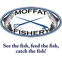 MoffatFishery's profile picture. Coming soon!