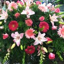 Jerri Sue Maxwell - @jsuemx - Twitter