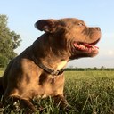 gary schrader - @virgoman1977 - Twitter