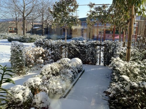 jigostraus's profile picture. 