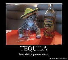 lukinhas_dean@hotmail.com