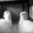 nyliulei's profile image