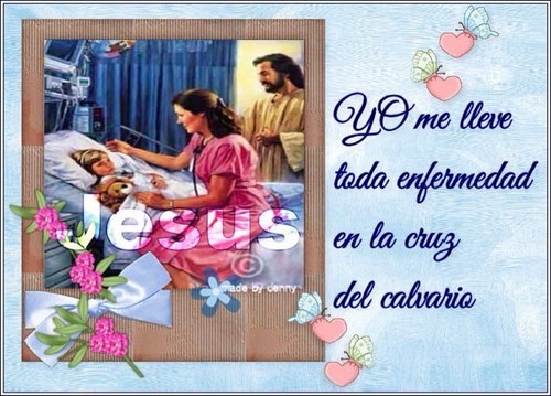 DiosAmaTodos's profile picture. 