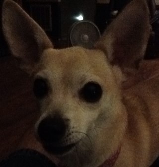 KI4MHF's profile picture. 