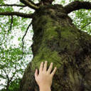 Loretta Jean - @LorettaJean3 - Twitter