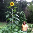 Patty Garner - @patty_garner - Twitter