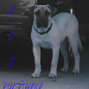 ali sharma - @alisharma2 - Twitter