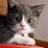 ThuyLuuCat's profile image