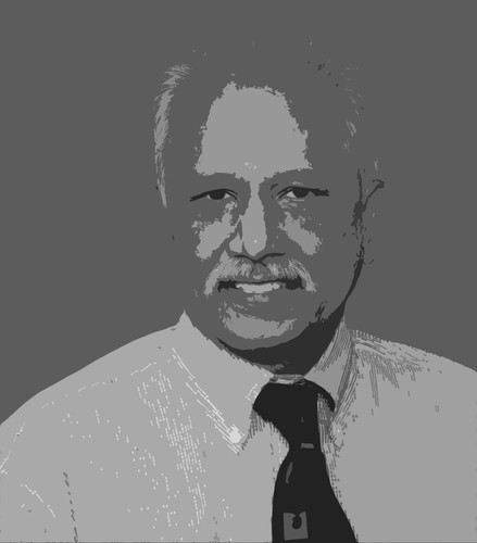 Professor, Consultant, and Researcher