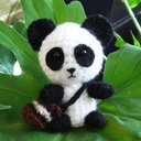 Jennifer Dizon - @Lolbear2001 - Twitter