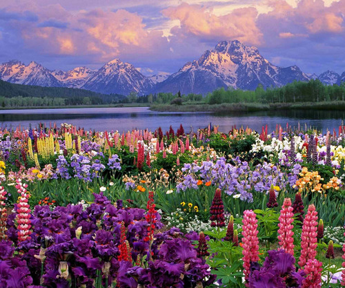 Trainking's profile picture. 