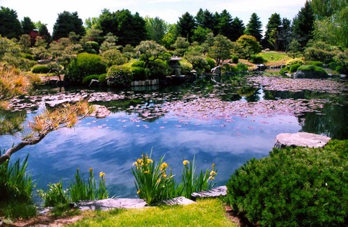 TLCOrganization's profile picture. We provide food,shelter,medical care and basic education to orphans.No child should have to die from preventable causes because of poverty