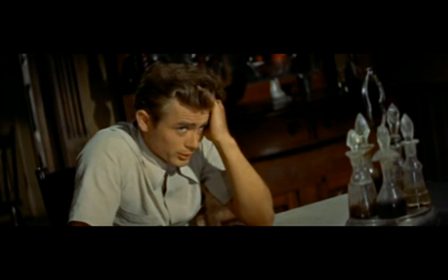 cool_kitties's profile picture. ^..^